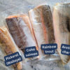 pickerel coho salmon rainbow trout and arctic char