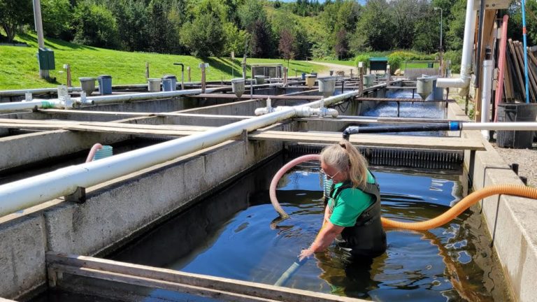 fish farm manure water quality aquaculture technician