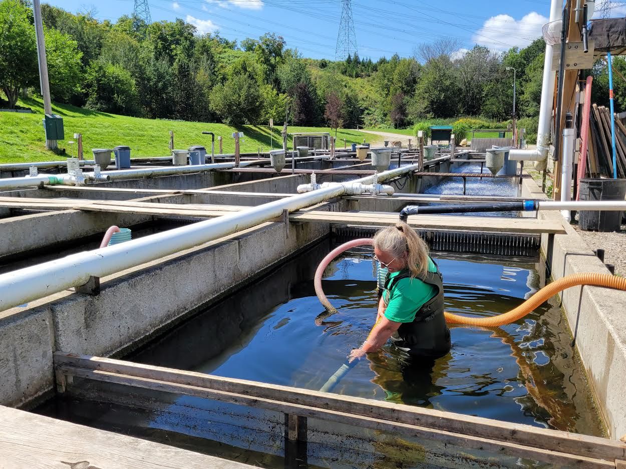 fish farm manure water quality aquaculture technician