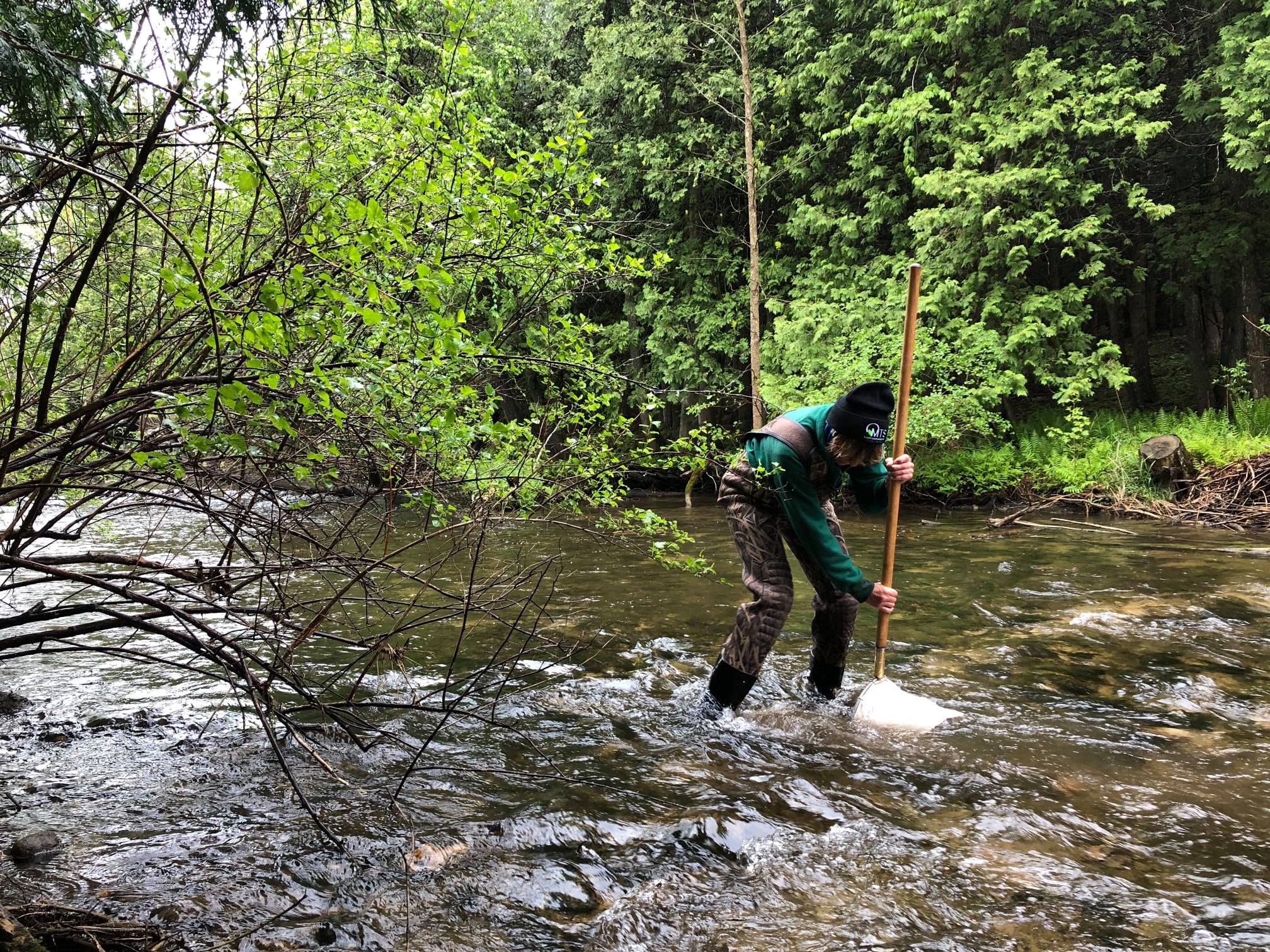 river biologist taking samples at fish farm