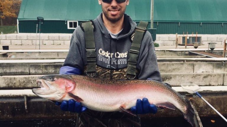 man fish farmer posing with rainbow trout