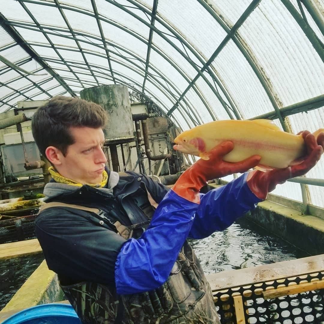 man posing with orange albino rainbow trout